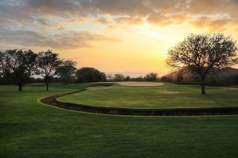 Kruger Golf Safari with Leopard Creek