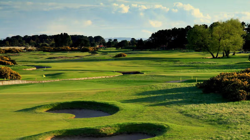 Premium Carnoustie & St Andrews Experience